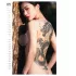 Tattoo Girls 2027 - erotisk väggkalender (1 st)