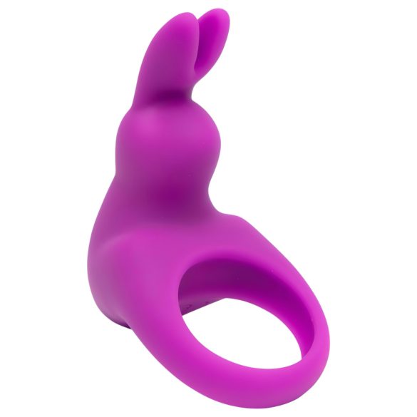 Happyrabbit - parvibrator set - uppladdningsbar - 7 delar