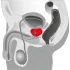 You2Toys - Prostatamassagerare - roterande vibrator - svart
