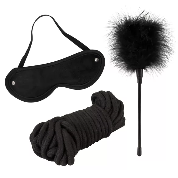 tease & please - Master & Slave - premium BDSM-äventyrsset för par (13-delars)