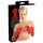 LATEX - långa unisex handskar - röd latex