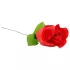 Panty Rose - stringtrosa dold i ros - röd S-L
