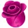 Satisfyer Pro 2 Modern Blossom - klitorisstimulator med lufttryck - rosa