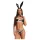 Obsessive Night Bunny - fyrdelad kanindräkt för kvinnor (svart)
