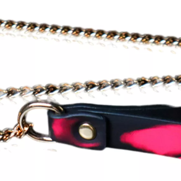 Heatmark - halsband med koppel