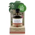 Coconutoil - intim- och massageolja - bio kokosolja - 80ml