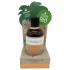 Coconutoil - bruningsolja för kropp - ekologisk - 80ml