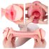 Vibeconnect - Naturtrogen Oral och Vaginal Masturbator (beige-svart)
