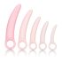 CalExotics Inspire - hälsosamman vaginal expansionsset (rosa)