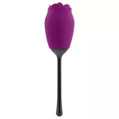   Playboy - tunganvibrator - uppladdningsbar och vattentät - lila