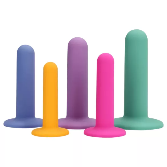 Loveline - dildo träningsset - 5 delar - färgglad