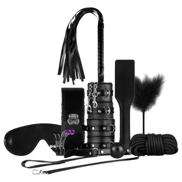 Secret Pleasure Chest - BDSM kit för avancerade - 14 delar - svart