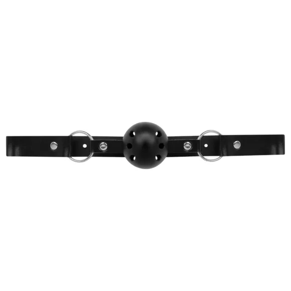 Secret Pleasure Chest - BDSM kit för avancerade - 14 delar - svart