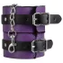 Secret Pleasure Chest - avancerat BDSM-set - 14 delar