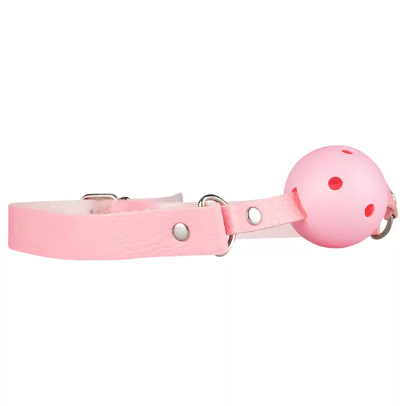 Secret Pleasure Chest - avancerat BDSM-kit - 14 delar - rosa