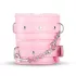Secret Pleasure Chest - avancerat BDSM-kit - 14 delar - rosa