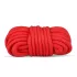 Secret Pleasure Chest - avancerat BDSM-set - 10 delar - röd