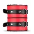 Secret Pleasure Chest - avancerat BDSM-set - 10 delar - röd