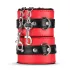 Secret Pleasure Chest - avancerat BDSM-set - 10 delar - röd