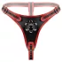 Easytoys - strap-on trosor med trippel dildo - svart