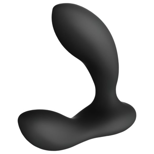 LELO Bruno - 2-motors prostatavibrator (svart)