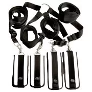 Fifty Shades-trilogin