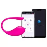 LOVENSE vibratorer